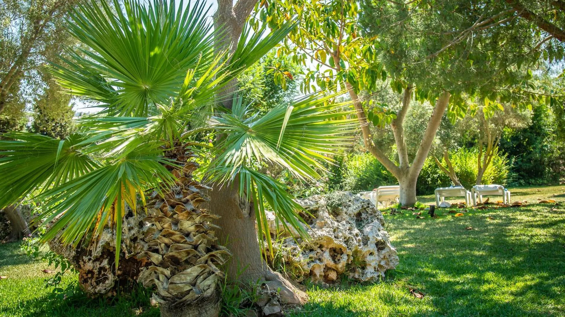 Hotel Club Cala Romani Calas de Mallorca